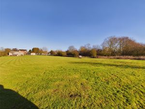 Garden- click for photo gallery